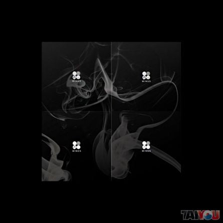 방탄소년단(BTS) - WINGS